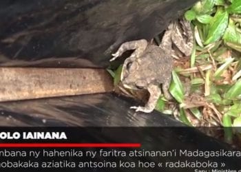 VAOVAO – MINUTE FLASH 21 SEPTAMBRA 2021