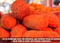 CUISINE – Des recettes végétariennes pour tous les goûts