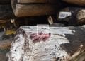 ENVIRONNEMENT- Le gouvernement mise sur la transformation des stocks saisis de bois de rose et repousse à plus tard le règlement des stocks déclarés