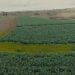 Acteur du développement territorial, AGRIVAL propose de l’alimentation animale couvrant 15 espèces et offre plusieurs gammes de produit (MAFONJA / TOMBO / FENO).