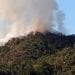 ENVIRONNEMENT –Deux hectares de terrain prennent feu dans un domaine privé à Mandraka, les flammes maîtrisées au bout de trois heures