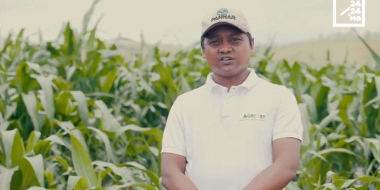 AGRIVET : Ady amin&rsquo;ny chenille légionnaire