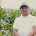 AGRIVET : Ady amin&rsquo;ny chenille légionnaire