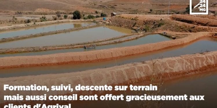 Agrival – Provende Trondro
