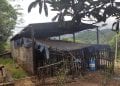 ELECTRICITE – De nouveaux groupes électrogènes pour les districts d’Antanambao Manampontsy et de Marolambo