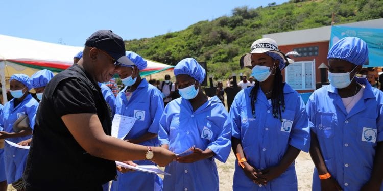 EMPLOI – 184 femmes et jeunes de Tolagnaro formés aux métiers de l’économie bleue et équipés de kits de démarrage d’activités