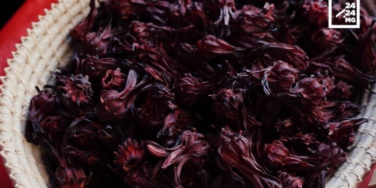 NUTRITION – L’hibiscus, la fleur aux grandes vertus