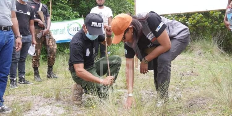 REFORESTATION – La campagne de reboisement lancée sans le président de la République, 50.000 jeunes plants mis en terre et 500 kilos de graines semés à Mahanoro ce mercredi