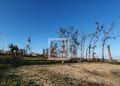 AVANT-CYCLONE – Des équipements et des matériels de secours prépositionnés dans les zones susceptibles d’être impactées par le cyclone Emnati