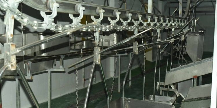 ELEVAGE – Un abattoir pour petits ruminants capable de traiter 1.000 têtes par jour à Ambanitsena