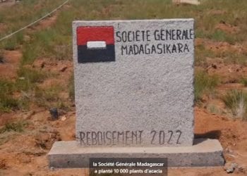REBOISEMENT-
