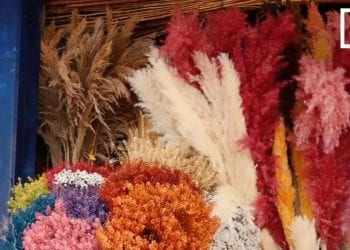 DECO – Des fleurs de pampa pour donner un côté bohème et glamour à son intérieur