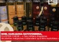 NOEL HARIJAONA RATOVONIRINA, CLUSTER CHESE – « Des milliers d’espèces de plantes malgaches n’attendent qu’à être exploitées »