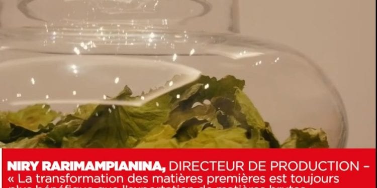 NIRY RARIMAMPIANINA, DIRECTEUR DE PRODUCTION – « La transformation des matières premières est toujours plus bénéfique que l’exportation de matières brutes »