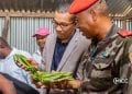 COMMERCE – Un opérateur de Nosiarina, Sambava, se dit prêt à acheter toute la production de vanille verte de Belamatra au prix plancher de 75.000 ariary