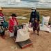 AGRICULTURE – Cri d’alarme des paysans : le kilo du paddy à seulement 1.300 ariary