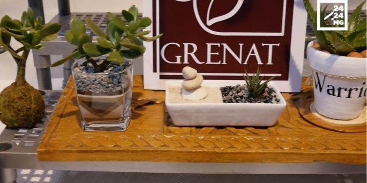 DECO – Le charme des terrariums en miniature