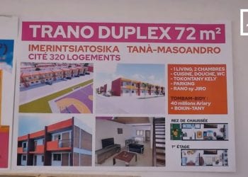 HABITAT – La fièvre du « trano mora »