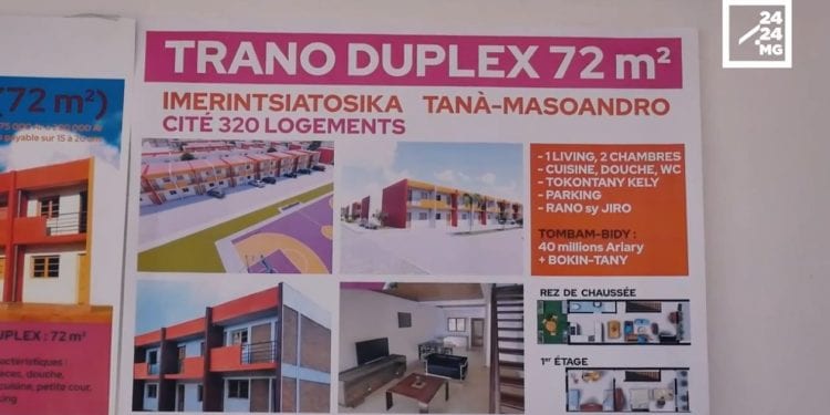 HABITAT – La fièvre du « trano mora »