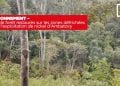 ENVIRONNEMENT – 60 ha de forêt restaurés sur les zones défrichées suite à l’exploitation de nickel d’Ambatovy