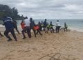ENVIRONNEMENT – Au moins huit baleines échouées sur les plages malgaches en 2022, le ministère de la Pêche et de l’économie bleue annonce l’ouverture d’une étude scientifique pour identifier les causes de ce phénomène