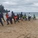 ENVIRONNEMENT – Au moins huit baleines échouées sur les plages malgaches en 2022, le ministère de la Pêche et de l’économie bleue annonce l’ouverture d’une étude scientifique pour identifier les causes de ce phénomène