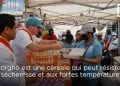 ALIMENTATION – Quand les céréales des zones arides s&rsquo;invitent dans les cuisines des chefs « étoilés »