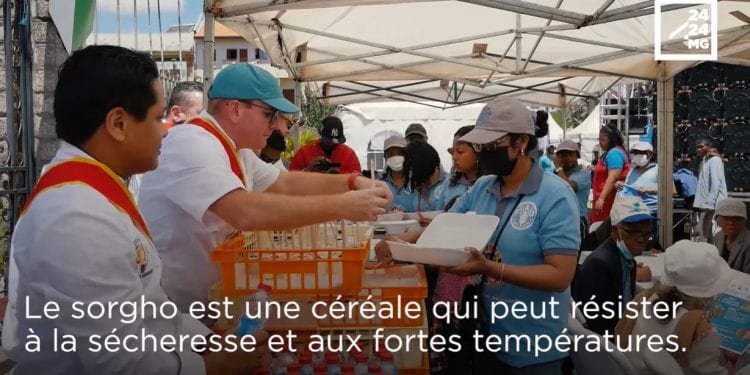 ALIMENTATION – Quand les céréales des zones arides s&rsquo;invitent dans les cuisines des chefs « étoilés »