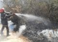 ENVIRONNEMENT – 600 citoyens mobilisés pour participer à une opération d’extinction de feux de forêt à la réserve spéciale d’Ambohitantely-Ankazobe ce vendredi