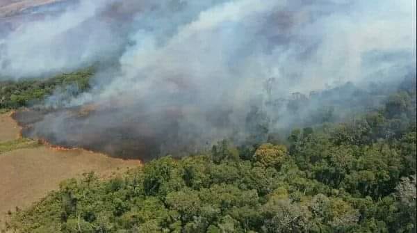 INCENDIE – La plupart des 980 points de feux signalés le mardi 11 Octobre notés dans l’Est et le Sud-Est, selon le ministère de l’Environnement et du développement durable