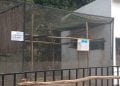 SANTE ANIMALE – Un comité technique et scientifique mis en place pour faire face aux cas de tuberculose détectés au sein du parc botanique et zoologique de Tsimbazaza