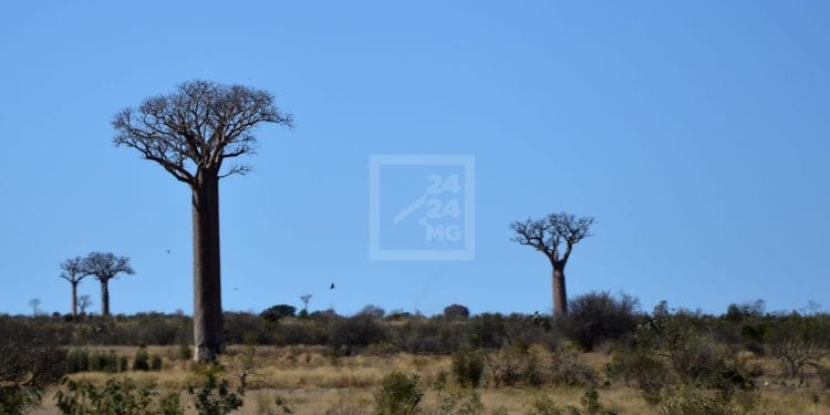 TOURISME – Capacité d’accueil limitée pour insuffisance d’établissements de standing international à Madagascar, une seule chambre « trois étoiles » nécessite un investissement moyen de 125.000 dollars, selon le ministère du tourisme