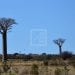 TOURISME – Capacité d’accueil limitée pour insuffisance d’établissements de standing international à Madagascar, une seule chambre « trois étoiles » nécessite un investissement moyen de 125.000 dollars, selon le ministère du tourisme