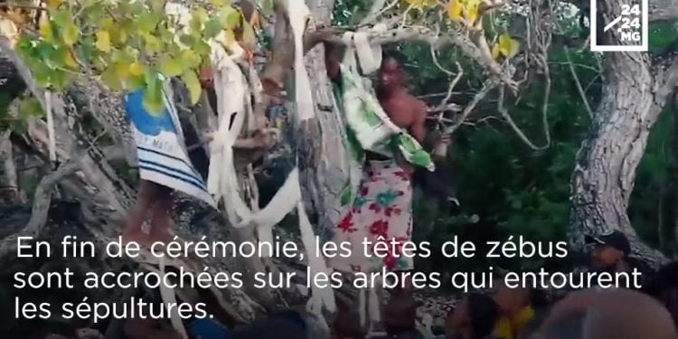 CULTURE – A la découverte du « Vangy tany manintsy » des Sakalava Anjoaty de Vohémar