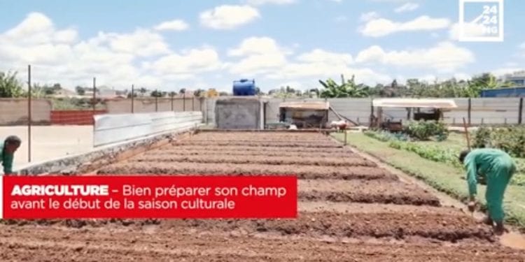 AGRICULTURE – Bien préparer son champ avant le début de la saison culturale