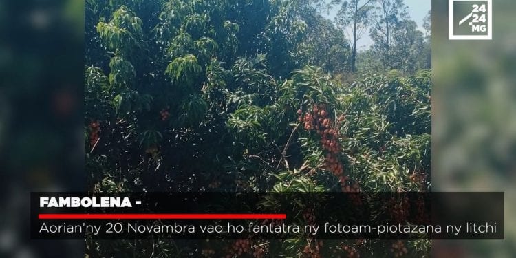 VAOVAO – MINUTE FLASH 09 NOVAMBRA 2022