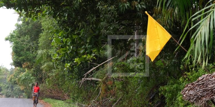 CYCLONE – Quatre régions placées en alerte jaune, la future Cheneso devrait toucher terre ce jeudi