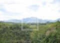ENVIRONNEMENT – Près de 18 milliards d’ariary de la Fondation pour les aires protégées et la biodiversité de Madagascar (FAPBM) pour appuyer 64 aires protégées en 2023