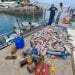 RESSOURCES HALIEUTIQUES – Des tonnes de poisson congelés achetés à Madagascar saisis à Mayotte