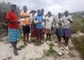 Toliara – Des dizaines de cadavres de pailles en queue retrouvés sur l&rsquo;île de Nosy Ve