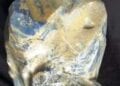 Le ministère en charge des Mines qualifie la « Priceless Sapphire » de « pierre fine à caractère industriel » et indique qu’elle ressemble à une pièce extraite à Fotadrevo et exportée légalement en Slovénie en 2020
