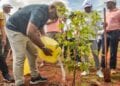 AMÉNAGEMENT – Les membres du gouvernement reboisent à Imerintsiatosika sur le site de Tanamasoandro et mettent en terre 400 jeunes plants d&rsquo;arbre