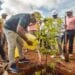 AMÉNAGEMENT – Les membres du gouvernement reboisent à Imerintsiatosika sur le site de Tanamasoandro et mettent en terre 400 jeunes plants d’arbre