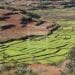 ALIMENTATION – Six filières priorisées dans le Pacte sur la souveraineté alimentaire et la résilience de Madagascar