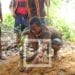 ENVIRONNEMENT – 15 000 élèves de 42 établissements scolaires dans les districts d&rsquo;Ambato Boeny et de Marovoay à doter de réflexes écologiques