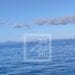 NAUFRAGE A AMBILOBE – L’APMF évoque la piste d’un mouvement soudain de houle comme à l’origine de l’accident maritime qui a tué plus de 20 personnes