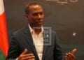 DOUANE – 23 kilos de pierre précieuse saisis à Mahajanga et des armes en provenance de la Réunion saisies à Toliara lundi