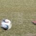 FOOTBALL – Madagascar dans le groupe A avec les deux Congo et le Canada aux Jeux de la Francophonie