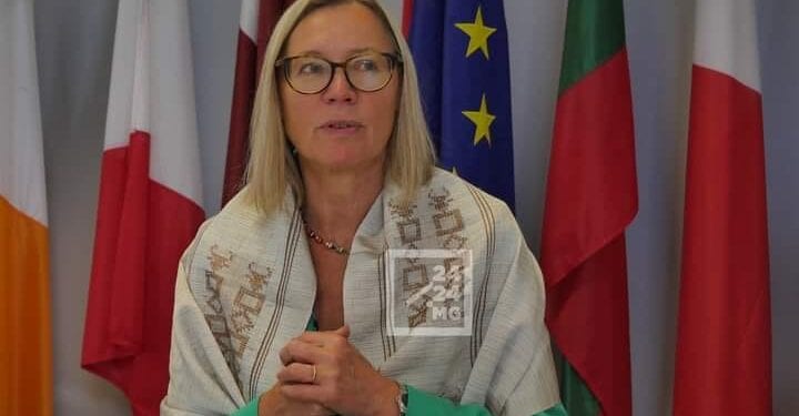 Des représentations diplomatiques se disent préoccupées et inquiètes après la décision du ministère de l&rsquo;Intérieur de restreindre les manifestations publiques
