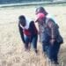 Alaotra Mangoro : Des appuis aux paysans de la région victimes des grêles tombées jeudi dernier sur leurs rizières 